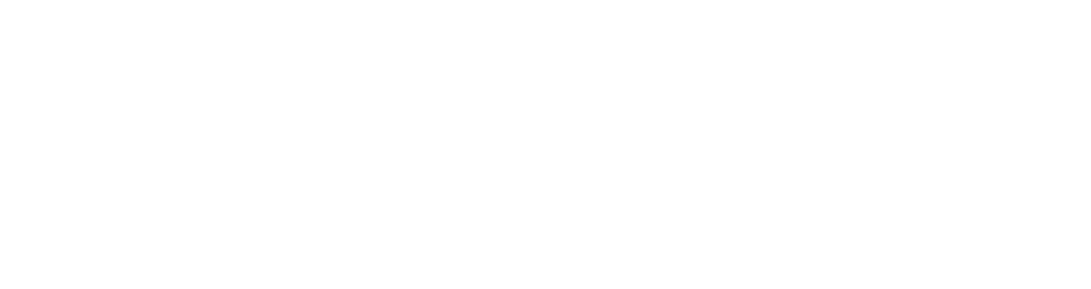 foton pickup